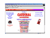 Website Hosting